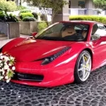 le106us lm by lxvlifestyle