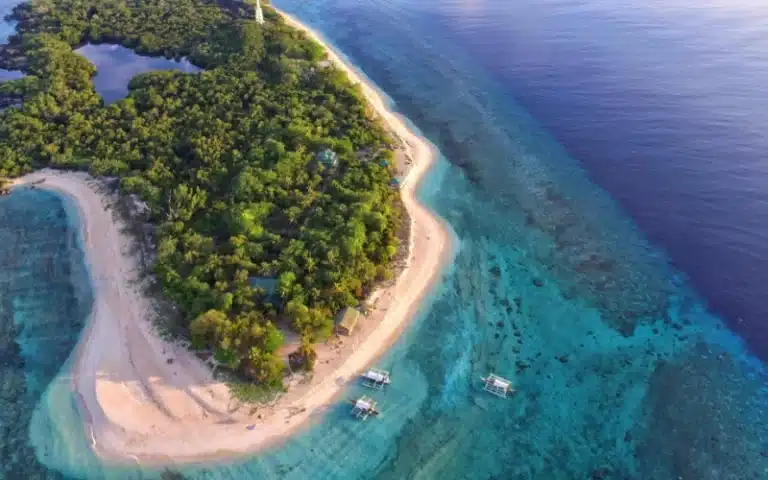 apo reef liveaboard philippines
