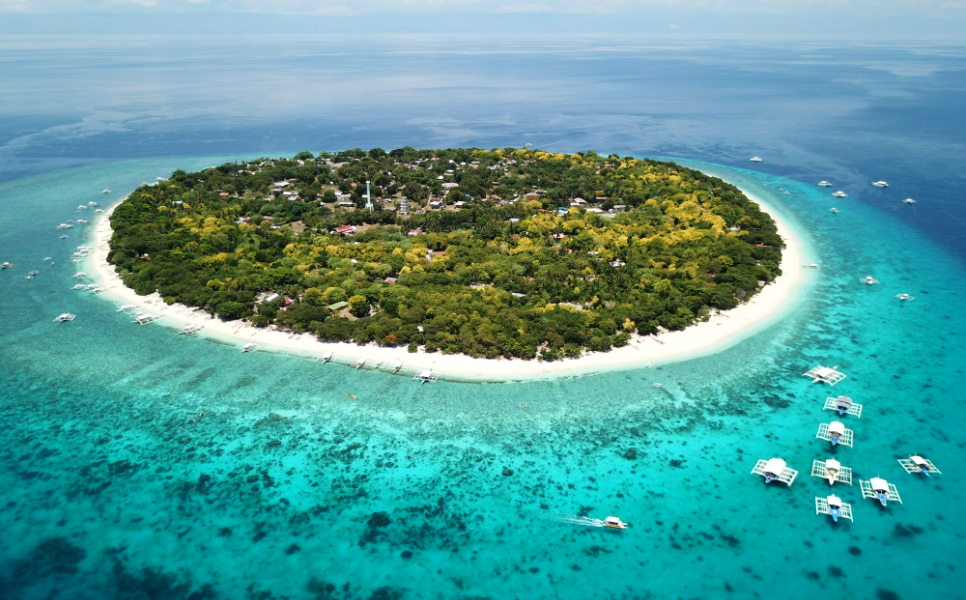 Balicasag Island Yacht Rental
