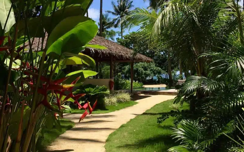 Mahogany Resort and Spa by theluxeguide (22) (1)