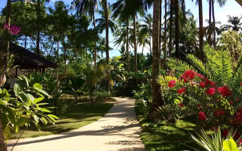 Mahogany Resort and Spa by theluxeguide (6) (1)