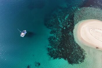 Bali 40 Catspace - Image 3