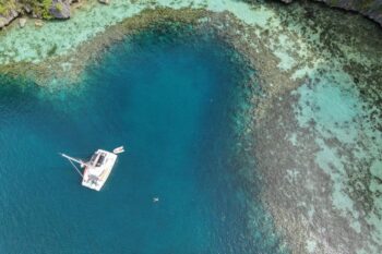 Bali 40 Catspace - Image 19