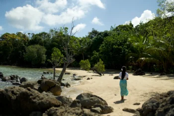 Pangatalan Private Island - Image 10