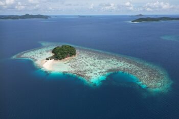 Harana Collection - Image 4