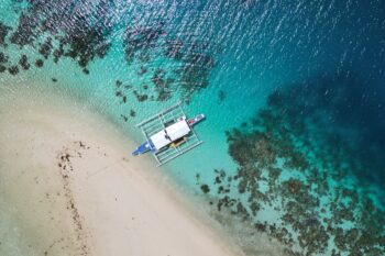 Harana Collection - Image 5