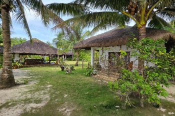 San Nicolas Private Beach - Image 7