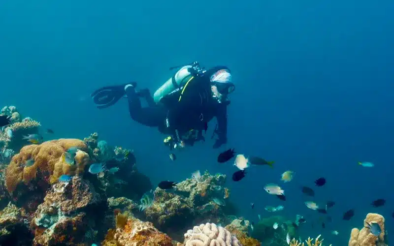 7d52cbfe-28ff-4fa8-aeaf-9ece66c9b43e