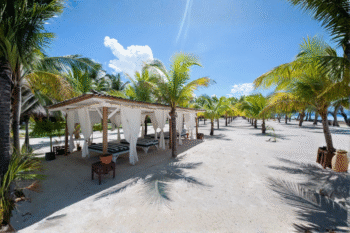 Bohol Beach Club - Image 6