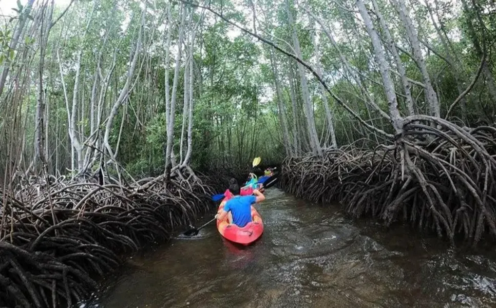Hotspring Sangat Island