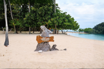 Island Buenavista Resort - Image 5