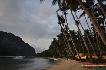 Mahogany Resort & Spa - Image 13