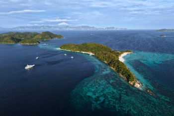 Malcapuya Island - Image 2