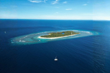 Private Cruise | Apo Reef to Dipnay | 7 Days