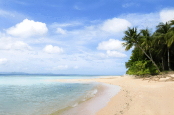 Bulawit Cove & Municipality - Image 5