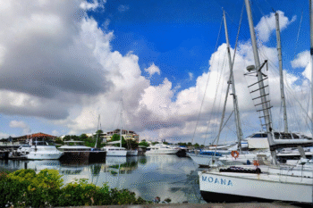 Cebu Yacht Club - Image 5