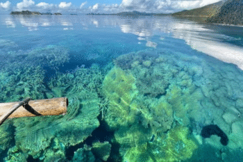 Debangan Island - Image 4