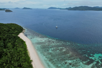 Dimanglet Private Island - Image 6