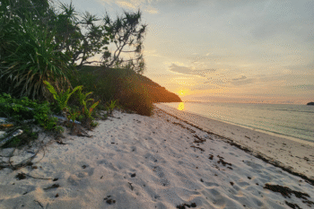 Dimanglet Private Island - Image 5