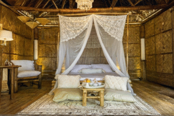 Linapacan Luxury Camp - Image 6