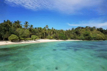 Linapacan Luxury Camp - Image 12