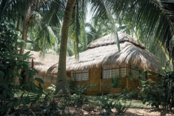 Linapacan Luxury Camp - Image 5