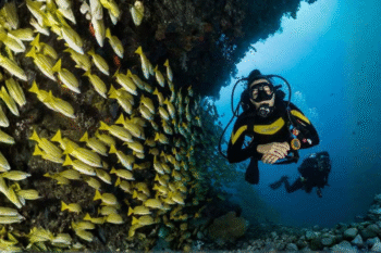 Linapacan Scuba Diving Hidden Spot