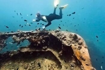 Lusong Wreck and Coral Garden Snorkeling