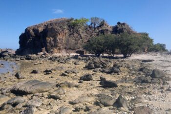 San Miguel & Patoyo Island Kayaks - Image 2