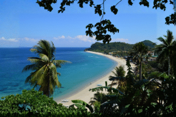 Puerto Galera Scuba Diving - Image 3