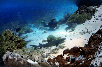 Sumilon Island Scuba Diving