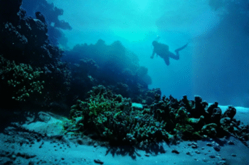 Sumilon Island Scuba Diving - Image 4