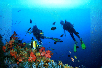 Tubbataha Reef​ Diving - Image 4