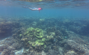 Coron Exclusive Lagoon Lunch and Private Speedboat Tour - Image 2