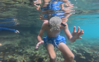 Coron Exclusive Lagoon Lunch and Private Speedboat Tour - Image 6