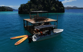 Coron Exclusive Lagoon Lunch and Private Speedboat Tour - Image 11