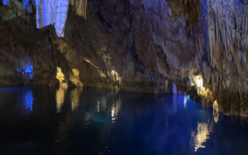 Coron Exclusive Lagoon Lunch and Private Speedboat Tour - Image 12