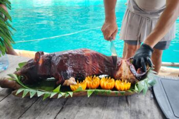 The Ultimate Coron Escape: Private Speedboat, Exclusive Lagoon & Hotspring Experience - Image 3