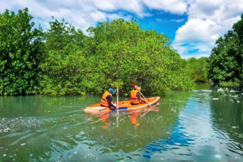 Busuanga Mangrove Tour - Image 4