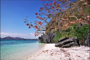 3-Day Private Cruise in El Nido Bacuit Archipelago - Image 11