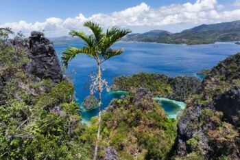 14-Day Palawan Luxury Diving Journey on Superyacht - Image 11