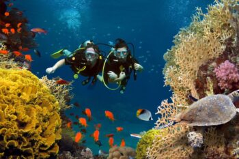 14-Day Palawan Luxury Diving Journey on Superyacht - Image 10