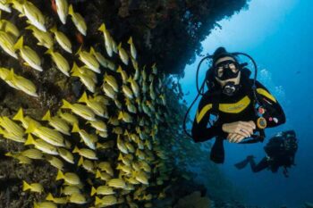 14-Day Palawan Luxury Diving Journey on Superyacht - Image 9