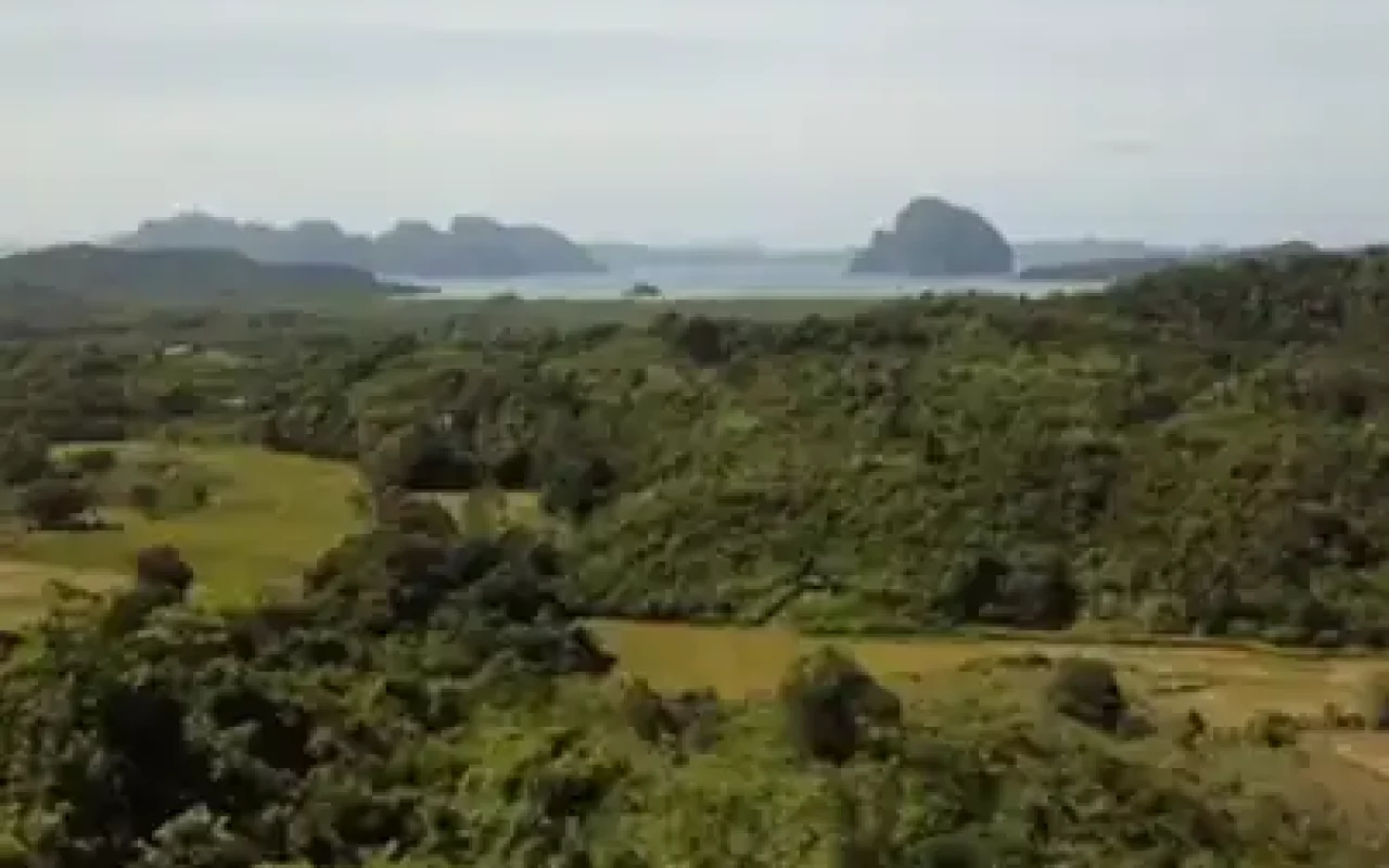 001-Danat-El-Nido-Organic-Farm