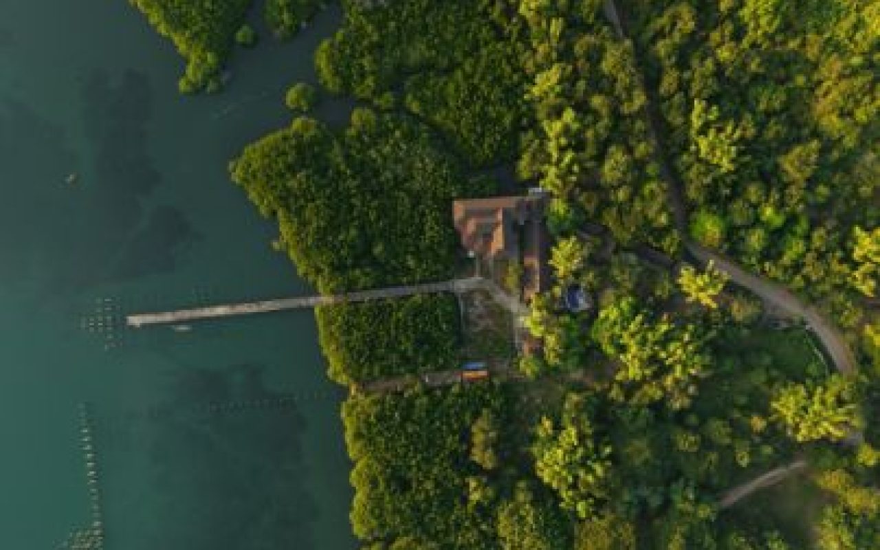 DJI_20241214172541_0029_D