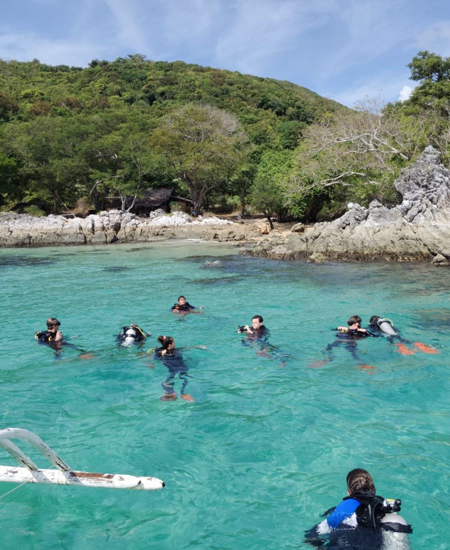 WhatsApp Image 2025-01-04 at 12.31.01_5d9a9aab