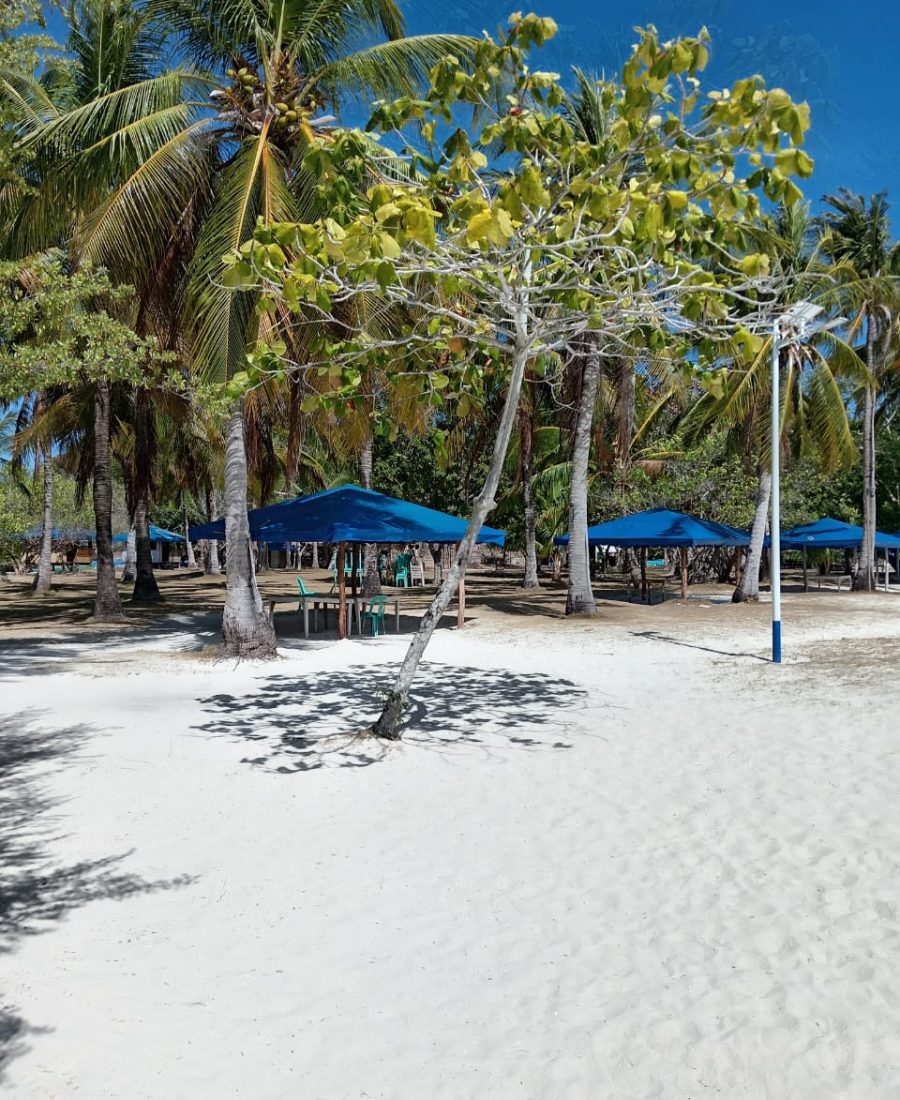 WhatsApp Image 2025-04-20 at 09.22.41_6b9326f9