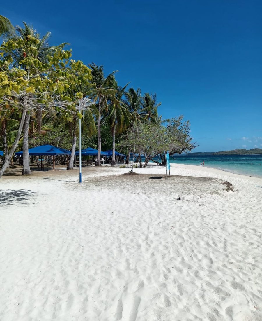 WhatsApp Image 2025-04-20 at 09.22.43_9a8cb496