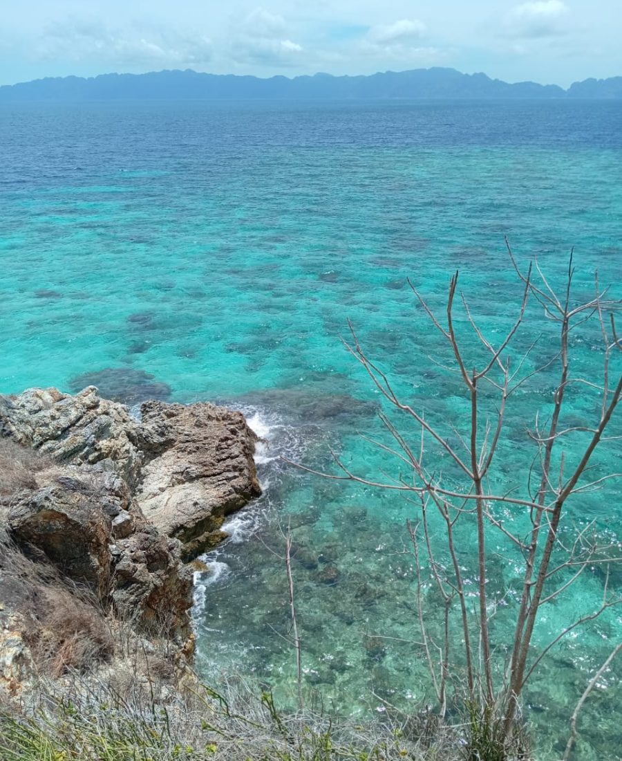 WhatsApp Image 2025-04-21 at 11.54.45_ada4cfed