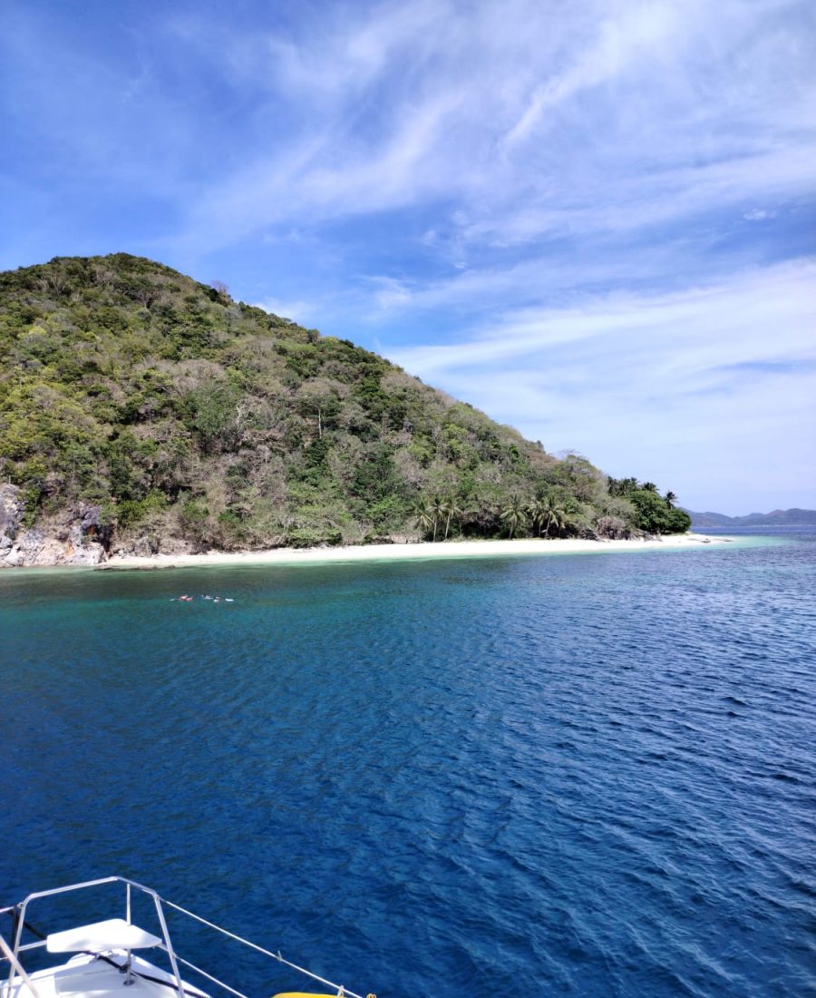 WhatsApp Image 2025-04-22 at 04.17.01_c7fedfbb